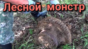 ЖАРКИЙ КОП МЕТАЛЛА в доль полей радует находками,заглянули на урочище