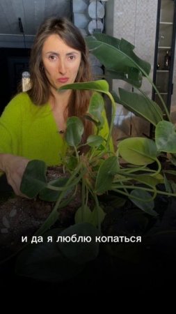 Бесплатные уроки https://mygreendecortg.ru/komntrast_1
Эфиры https://salebot.site/efir_yukhno_1
