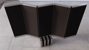 C SEED M1 TV (Short Cut)