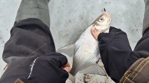 Рыбалка на Истре деревня Пятница Последний лед 6 марта