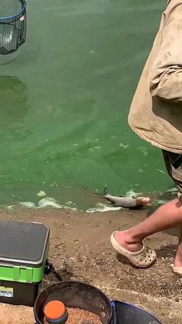 Подписывайся на мою группу в ВК , чтобы знать дальнейшее развитие канала , сылка в комментариях ☺️ смотреть онлайн