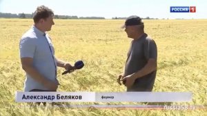 Апробация сортовых посевов