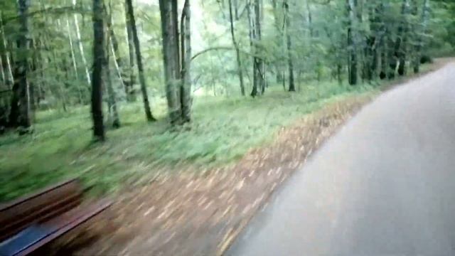 Битцевский лес тур смотреть онлайн