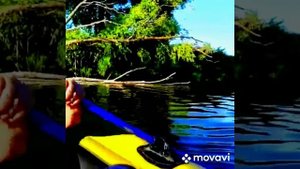 Дым от костра... Хорошая песня.