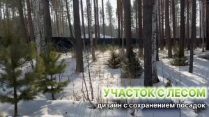 Участок с лесом - проект с сохранением посадок