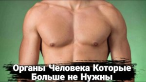 8 частей тела, которые больше не нужны человеку