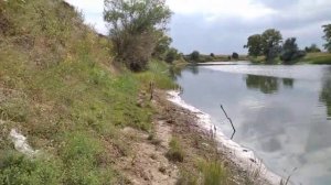 Нижнегнутов речка цимла 2021г.