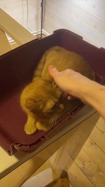 06-03-2025 смотреть онлайн