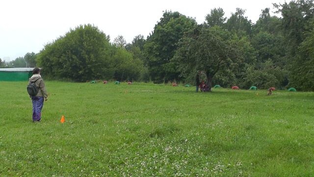 "Орехово". 28.06.15. смотреть онлайн