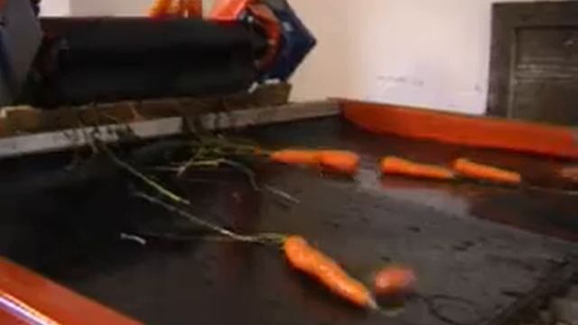 EKKO Small carrotline. EKKO EM-1320, EKKO EM-1442 смотреть онлайн