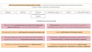 11.2 Спинной мозг