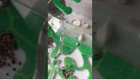 Обзор на Форстер