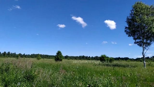 Пение жаворонка - 2 смотреть онлайн