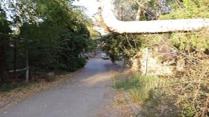 4K видео на камеру Sharp AQUOS R8