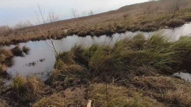 Утиная охота с подхода 2019. Duck Hunt in Winter. смотреть онлайн