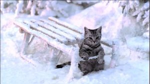 Реклама Whiskas | Вискас Новогодняя - "Такого снегопада.."