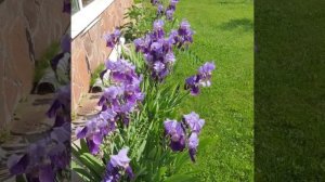 Аркадий Кобяков Cover *Было или нет *