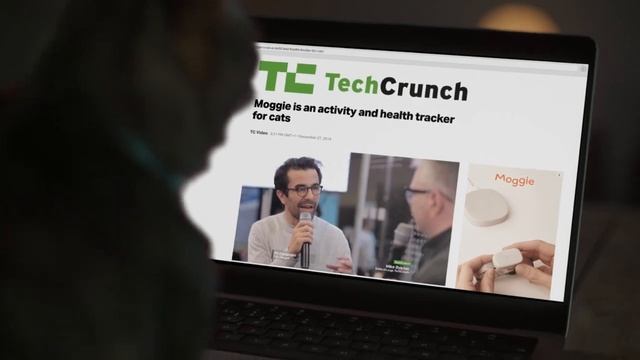 Moggie: the smart wearable device for cats смотреть онлайн