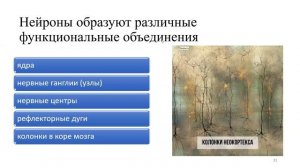 6.1 Физиология нервной системы