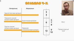 Как запомнить альтернирующие синдромы Правило 4 х