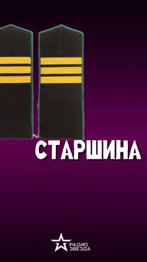 ПО СЛУЧАЮ ПРИСВОЕНИЯ: за что отвечает старшина? #history #армия_россии