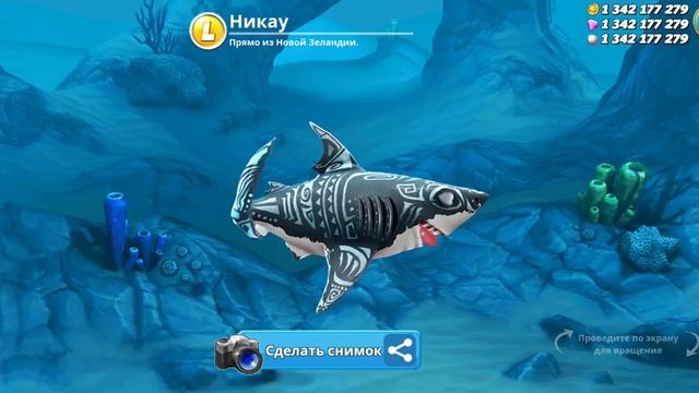 купили новую акулу. тупарылая акула. купили скин скидка 92%. рост ( L ) смотреть онлайн