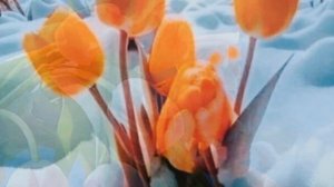 970.🎼. Kevin Kern - «Childhood Remembered»