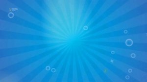 Клининг 2 пример ролика