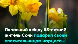 Попавший в беду 83-летний житель Сочи подарил своим спасительницам нарциссы