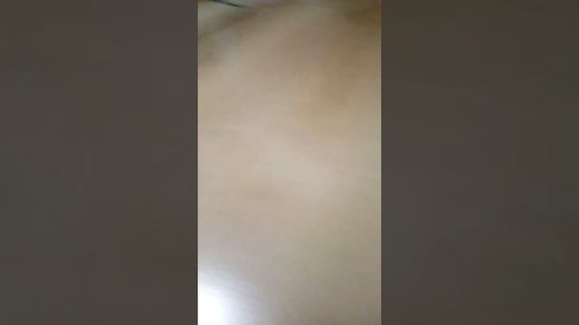 гонки черепашек смотреть онлайн