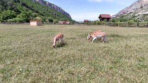 Поездка на озеро Любви, Бахчисарайский район.