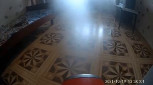 ДЕЗИНФЕКЦИЯ. Профилактическая дезинфекция холодным туманом от блох, тараканов, клопов, вирусов.