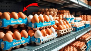 Как РАЗЛИЧАТЬ КУРИНЫЕ ЯЙЦА по КАТЕГОРИЯМ?!!!