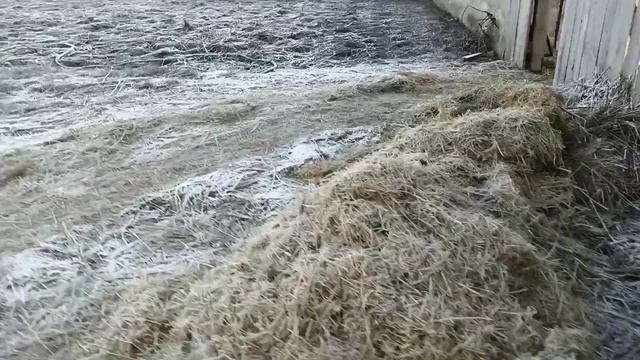 Утро в деревне смотреть онлайн