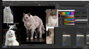 19 Fur Texturing And Look Dev