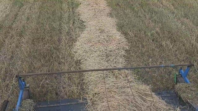 Первый день уборки. Подбор ячменя. сезон 2020 смотреть онлайн