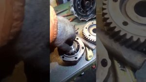 Раздатка газель, заколхозил парт-тайм.