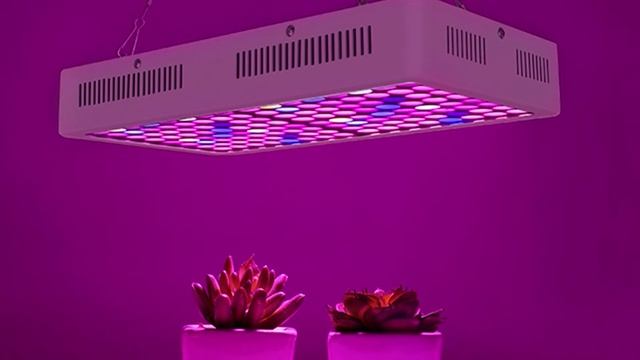 Top 10 Best LED Grow Lights on The Market