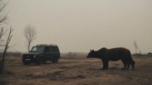 Интересные факты об аварии на Чернобыльской АЭС