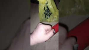 заменил втулку шатуна и прокладку под головкой цилиндра Минск