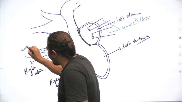 General Science | Circulatory System | Crack UPSC CSE 22/23 | Madhukar Kotawe