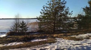 Озеро Соинское, Пустошкинский район.