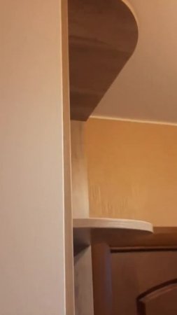 Нашу работу принял даже пёс