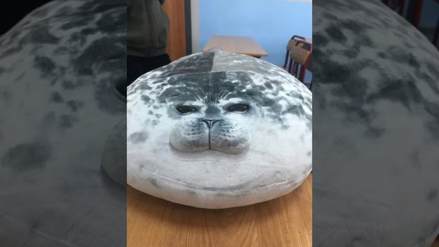 Храп деда + звонок нокиа смотреть онлайн