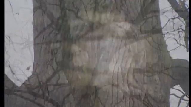Утешители