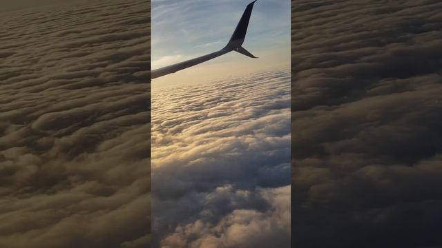 Лечебная музыка для сна. Мгновенный сон. Музыка для снятия стресса смотреть онлайн