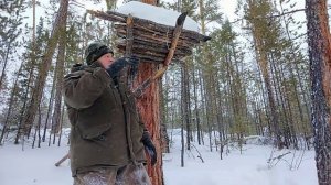 Добыл соболя. Закрытие соболиной охоты..mp4