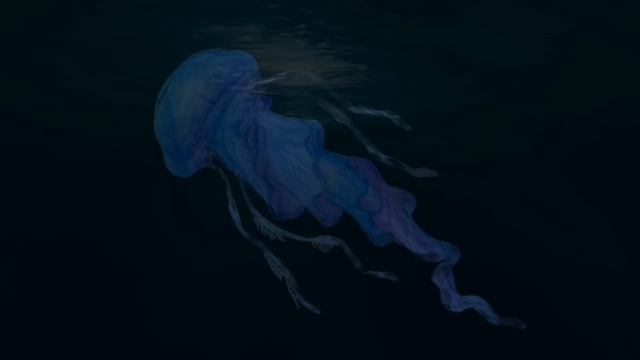 Cyanea смотреть онлайн