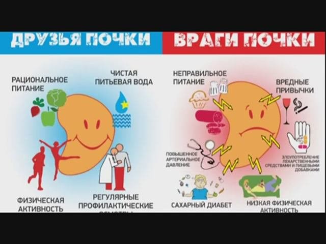 Формула здоровья Уральскова почки и сердце Нарушение функции почек
