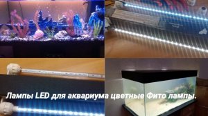 Ремонт светильника Juwer
